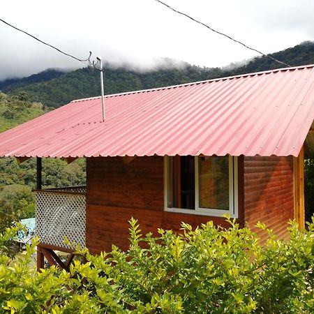 Mario'S Lodge Providencia Copey Exterior foto